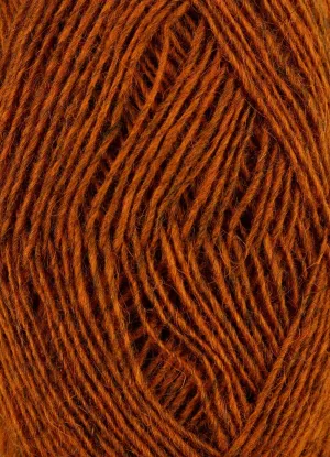 Fjallalopi #3042 - Ginger